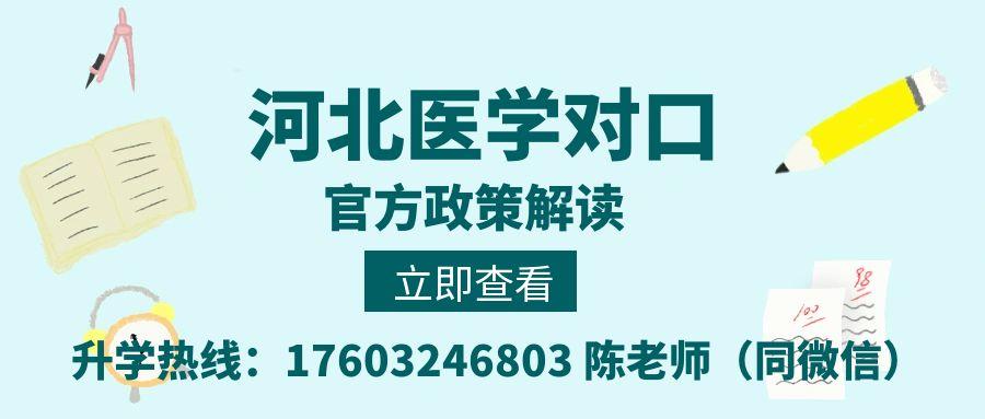 图怪兽_操作系统Excel法绿色创意公众号封面 (1).jpg